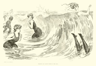 Illustratie voor The Social Ladder door Charles Dana Gibson