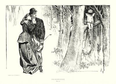 De struikrover door Charles Dana Gibson