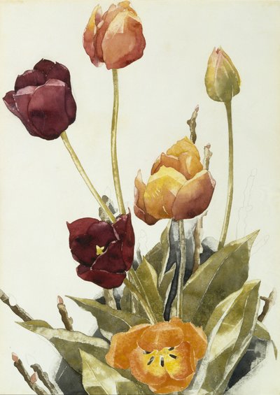 Tulpen, 1933 door Charles Demuth