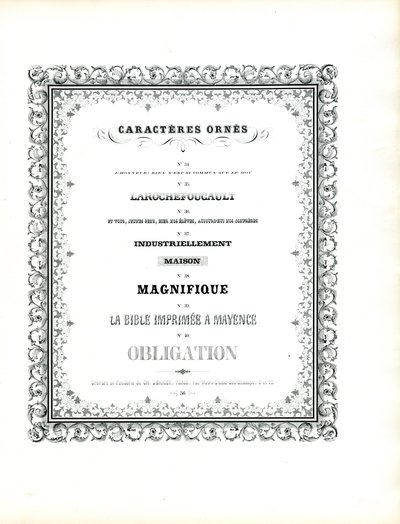 Decoratieve lettertypes met dubbel ornamenteel kader (print) door Charles Derriey