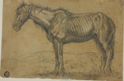Uitgemergeld paard (recto); vooraanzicht van een paard (verso) door Charles Emile Jacque