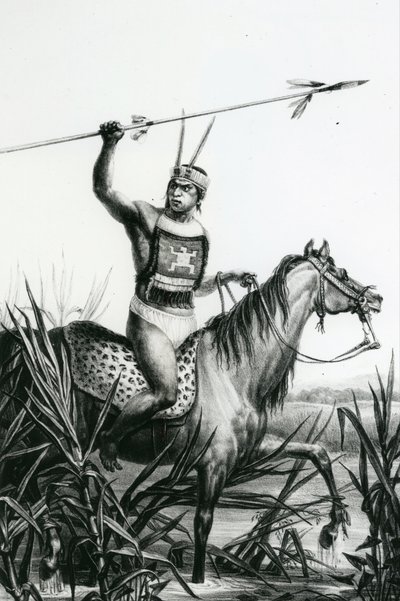 Hoofd van de Charruas uit 