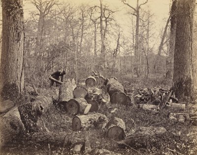 Bos van Fontainebleau door Charles Famin