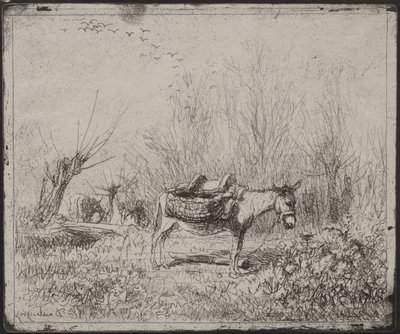 Een ezel in het veld, originele indruk 1862, gedrukt in 1921 door Charles Francois Daubigny