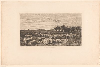 Landschap met kudde schapen door Charles Francois Daubigny