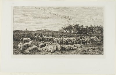 Weide met schapen door Charles Francois Daubigny