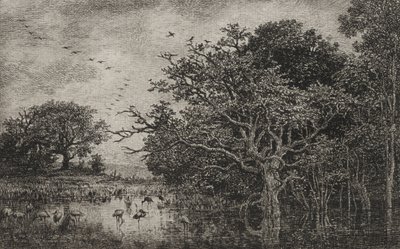 Het moeras met ooievaars door Charles Francois Daubigny