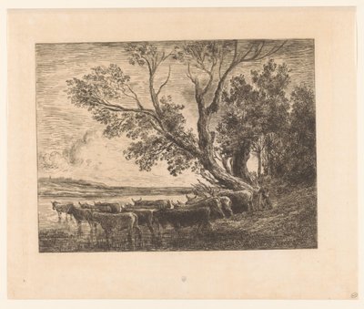 Landschap met wadende runderen door Charles François Daubigny (attributed to)