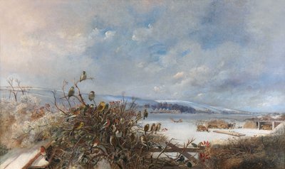 Vogels van een Veer door Charles Henry Clifford Baldwyn