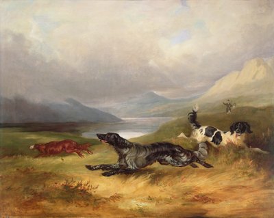 Op het Spoor door Charles Henry Schwanfelder