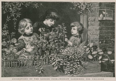 Recreaties van de Londense armen: Raamtuinieren voor kinderen door Charles J. Staniland