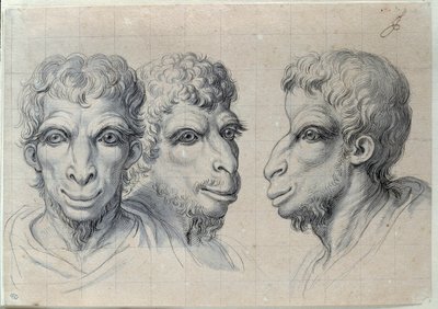 Studies van drie mannenhoofden die doen denken aan de fysiognomie van de kameel. Tekening door Charles Lebrun. 17e eeuw. Parijs, Louvre Museum door Charles Le Brun