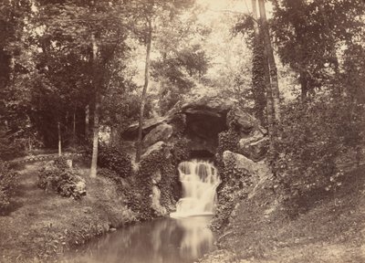Grot, Mare aux Biches, Bois de Boulogne, 1858-1860 (foto) door Charles Marville