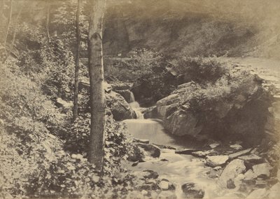 [De Zwitserse Vallei in St. Goarshausen]. door Charles Marville