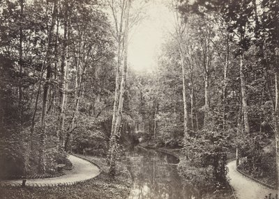 Mare aux biches, Bois de Boulogne door Charles Marville