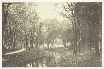 Zonder Titel, ca. 1850. [Bomen bij water in het Bois de Boulogne, een park in Parijs] door Charles Marville