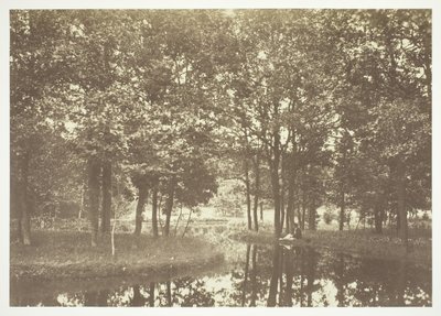 Zonder titel, ca. 1850. [Bomen bij water in het Bois de Boulogne, een park in Parijs] door Charles Marville