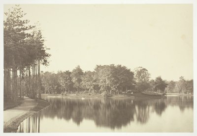 Zonder Titel door Charles Marville