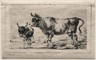 Koe en ezel, 1849 door Charles Meryon