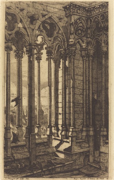 De galerij van Notre Dame, Parijs door Charles Meryon
