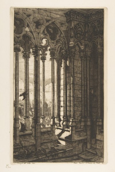  door Charles Meryon
