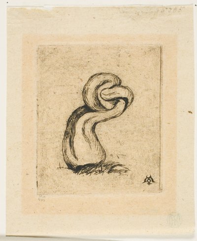 De Zieke Cryptogam door Charles Meryon