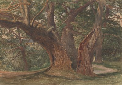 Bomen in een landschap door Charles Reginald Aston