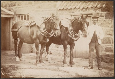 [Man met twee paarden] door Charles Reid
