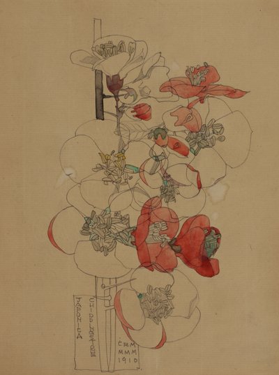 Japonica door Charles Rennie Mackintosh