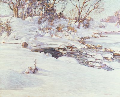 Winterzonlicht door Charles Rosen
