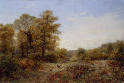 Het huis van de fazant (olieverf op doek) door Charles Thomas Burt