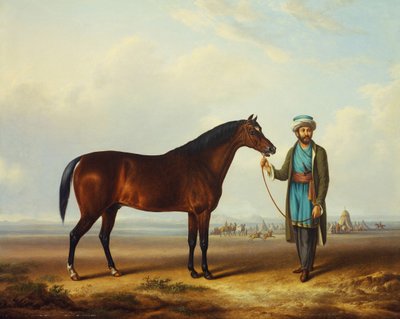 Een Arabisch hengst vastgehouden door een stalknecht met een kampement op de achtergrond door Charles Towne