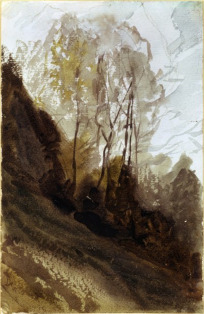 Bäume von Charles Vuillermet