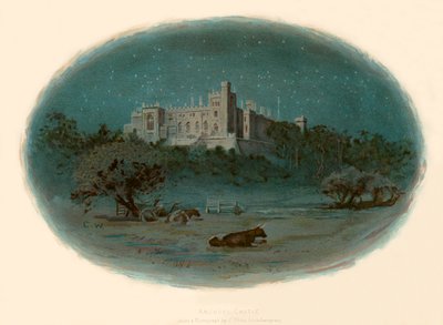 Kasteel van Arundel door Charles Wilkinson