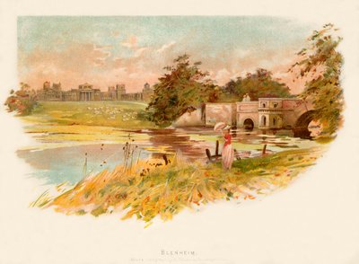 Blenheim door Charles Wilkinson