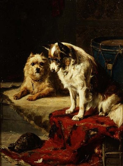 Honden en een schildpad door Charles van den Eycken