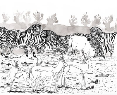 Safari 3, 2018 door Charlotte Orr