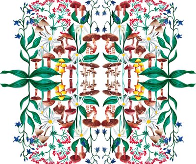 Wilde Planten door Charlotte Orr