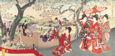 Chiyoda Kasteel Album van Vrouwen door Chikanobu Yoshu