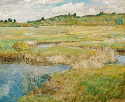De weide van Concord door Childe Hassam