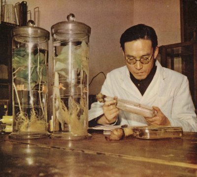 Chinese landbouwchemicus van het Changchun Research Institute, Volksrepubliek China, jaren 1950 door Chinese Photographer