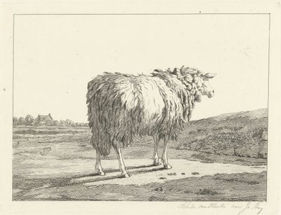 Schaap in een landschap door Christiaan Godfried Schutze van Houten