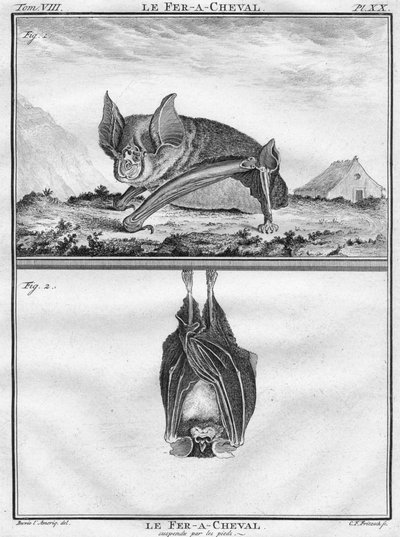 Le Fer-A-Cheval & Le Fer-A-Cheval opgehangen aan de voeten, ca. 1763 door Christian Friedrich Fritzsch