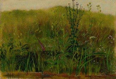 Planten op de oever door Christian Friedrich Gille