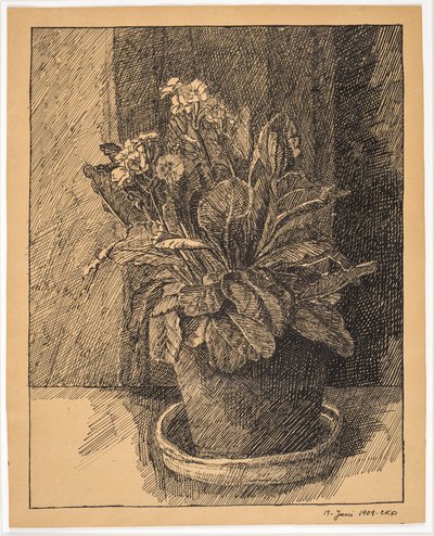 Bloempot met primula door Christian Kongstad Petersen