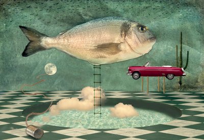 Surrealistisch visdroomlandschap door Christian MARCEL