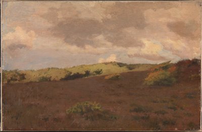 Heidelandschap. Herfst door Christian Mourier Petersen