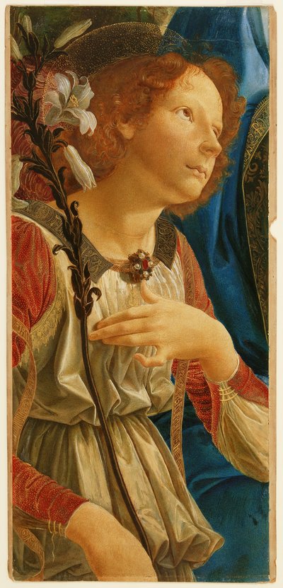 Studie van de engel Gabriël, uit 
