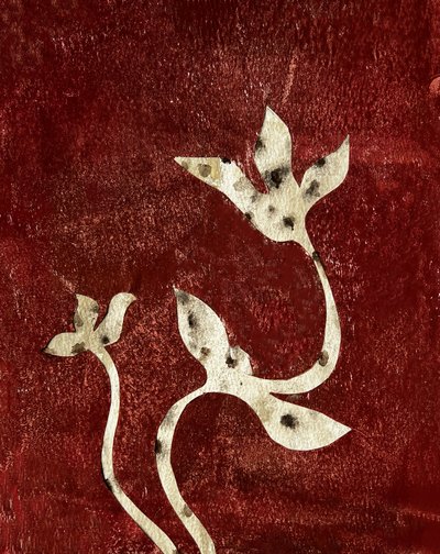  door Christina Misuro