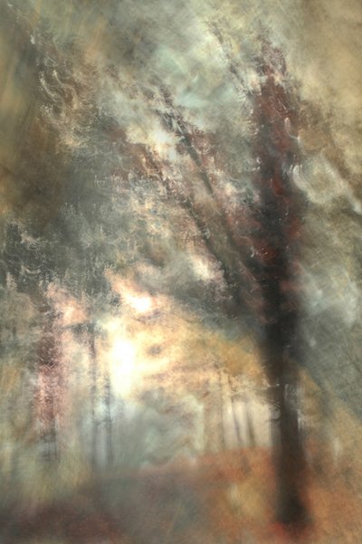  door Christina Sillen